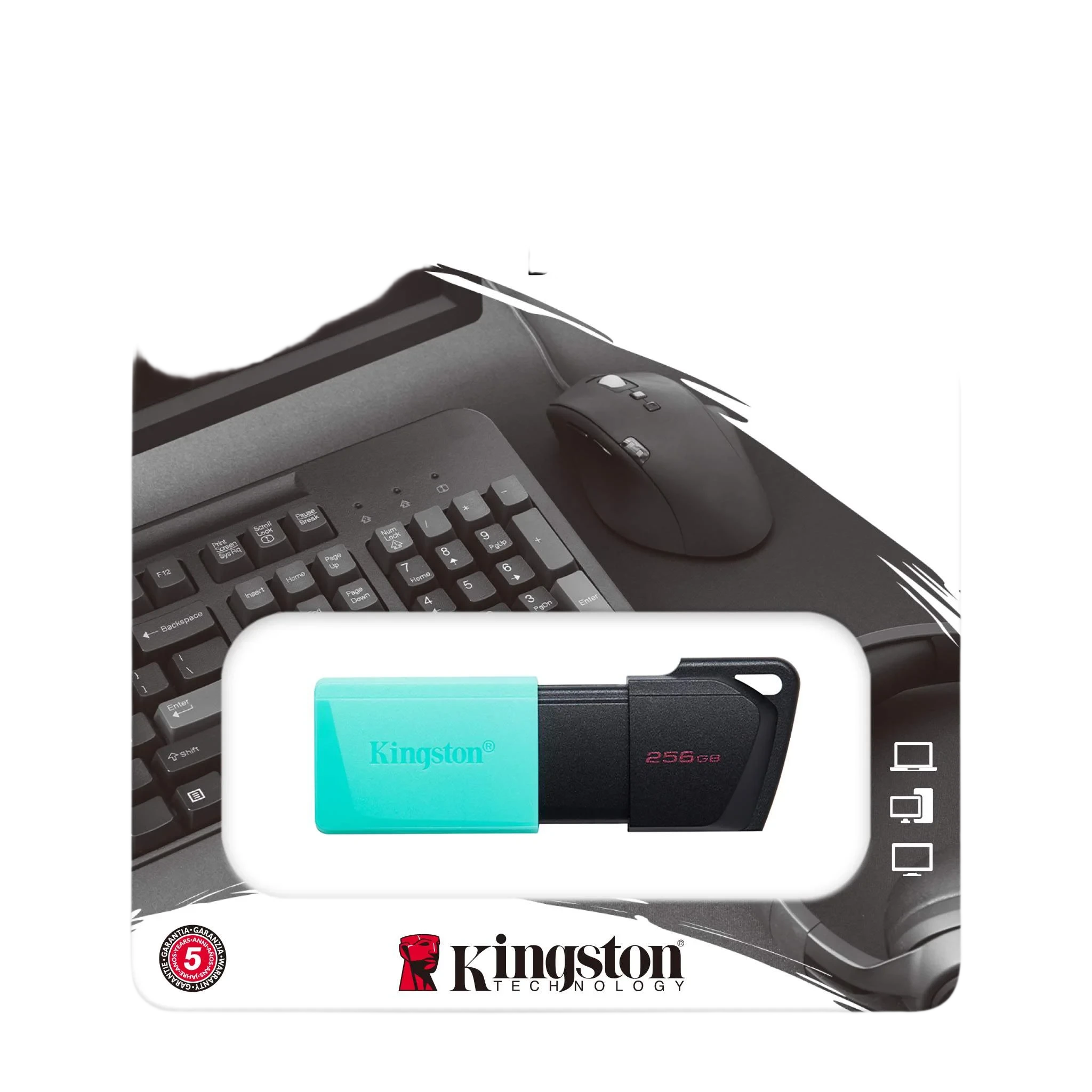 MEMORIA USB KINGSTON DTX EXODIA 256GB 3.2 GEN 1 VERDE