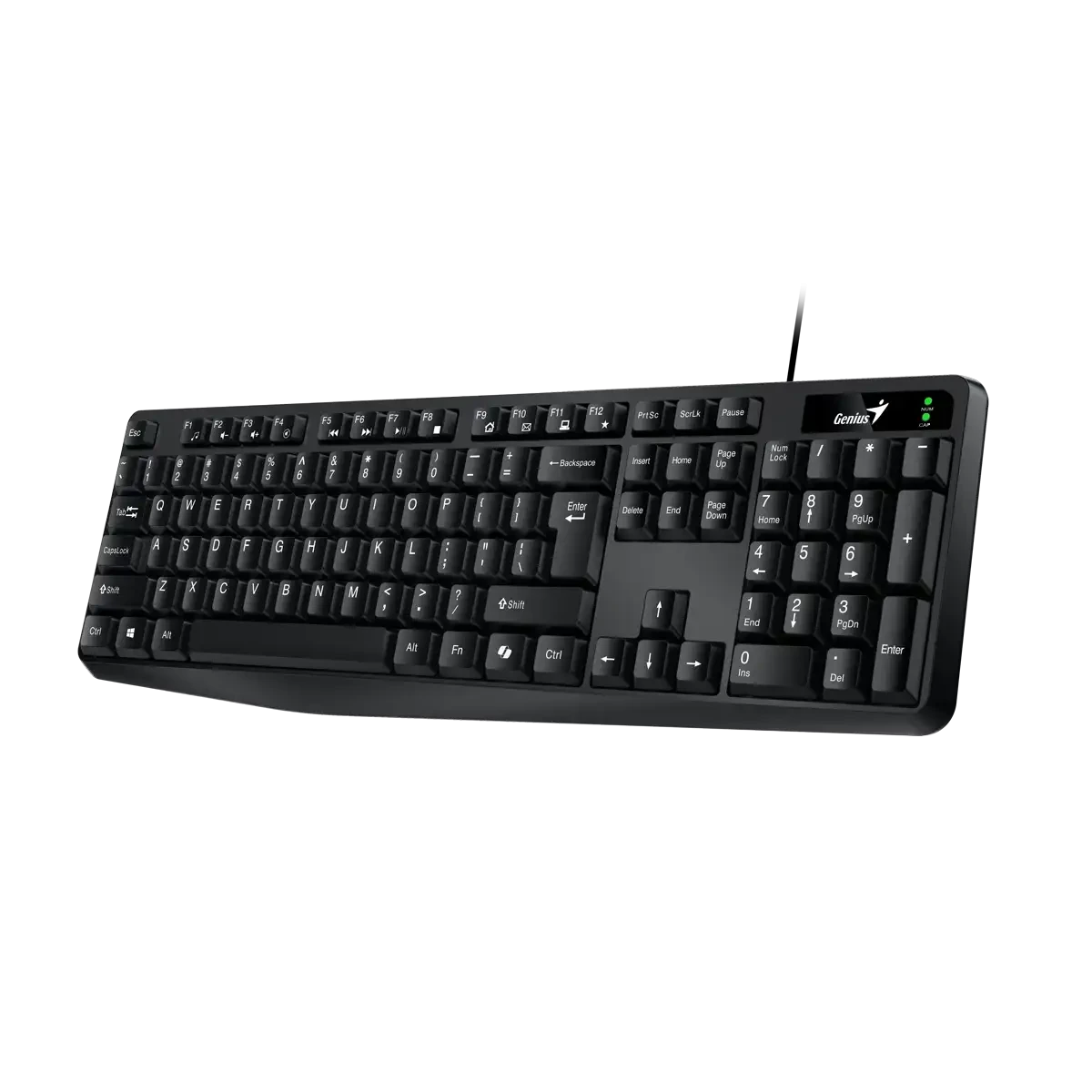 TECLADO GENIUS KB-117 USB NEGRO
